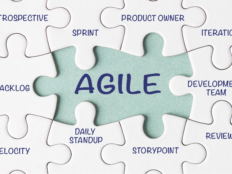 Agile business practices